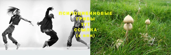 MDMA Premium VHQ Аркадак