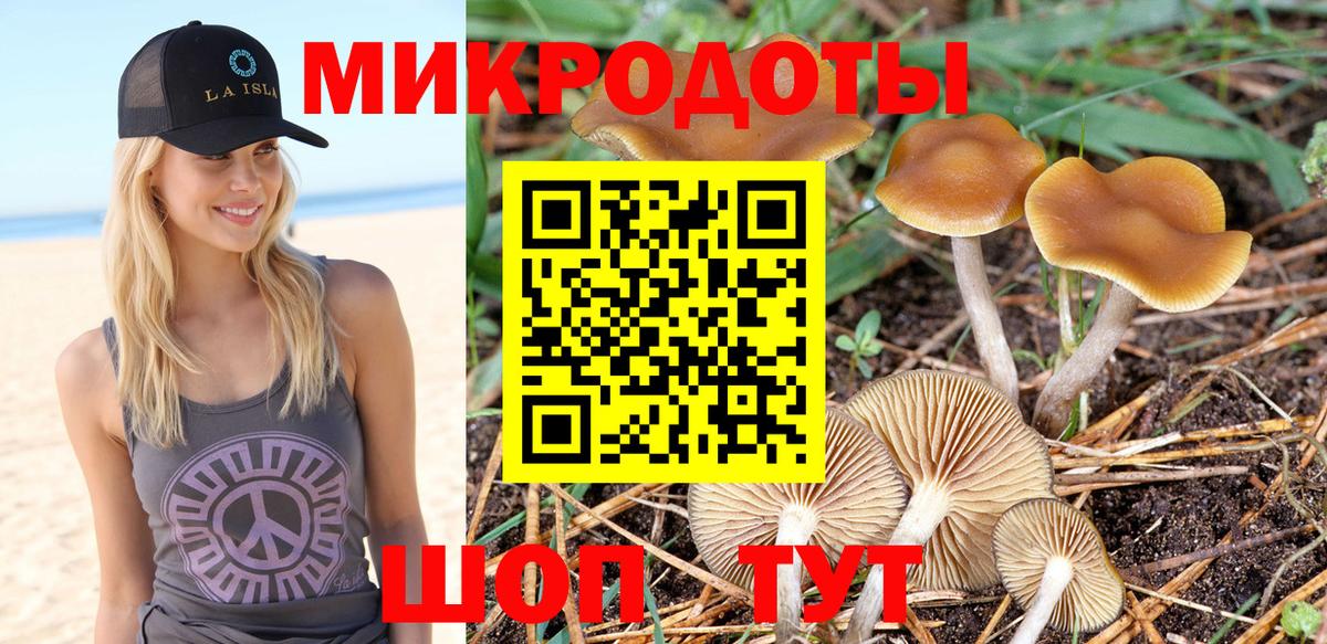 Новозыбков  Псилоцибиновые грибы прущие грибы  Псилоцибиновые грибы Magic Shrooms  Вход с VPN 